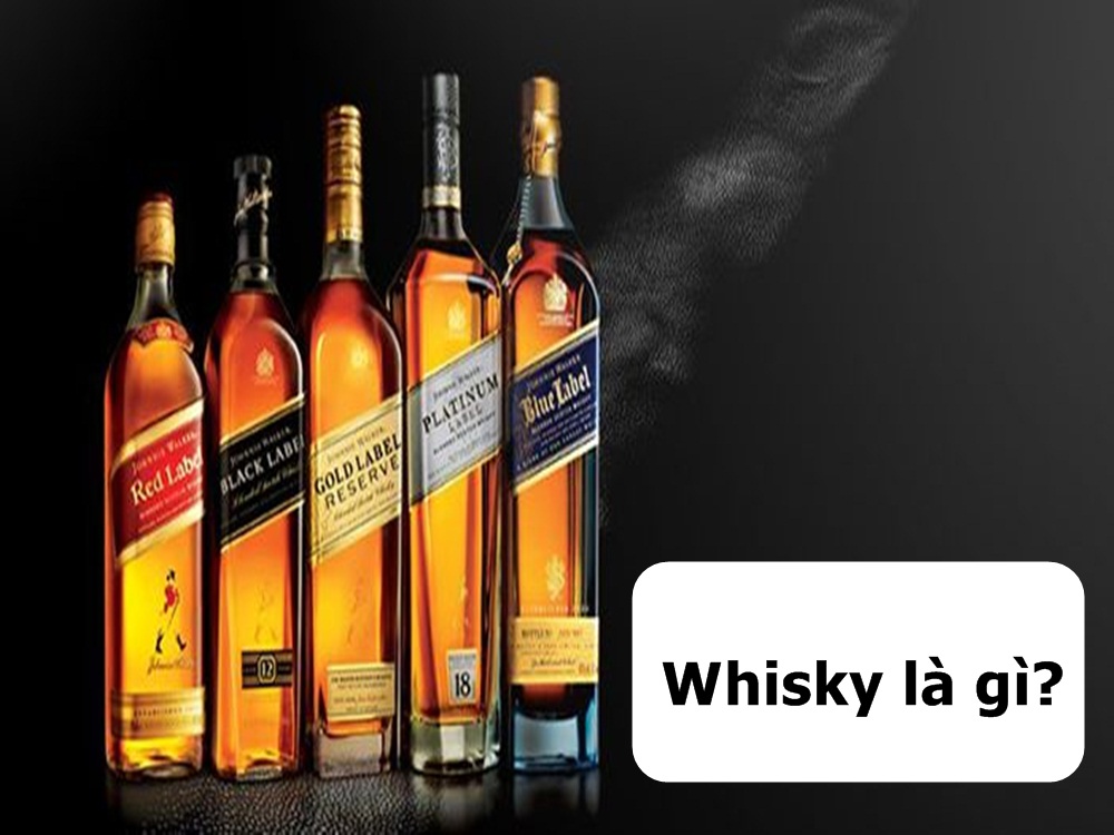 Whisky là gì? Những điều không phải ai cũng biết về whisky
