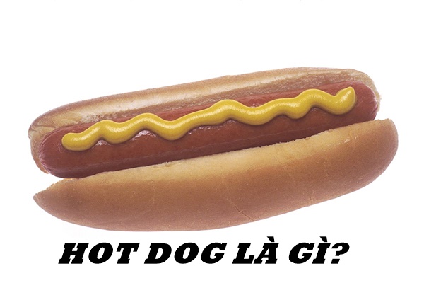 Hot dog là gì? Những điều thú vị cần biết về hot dog 1