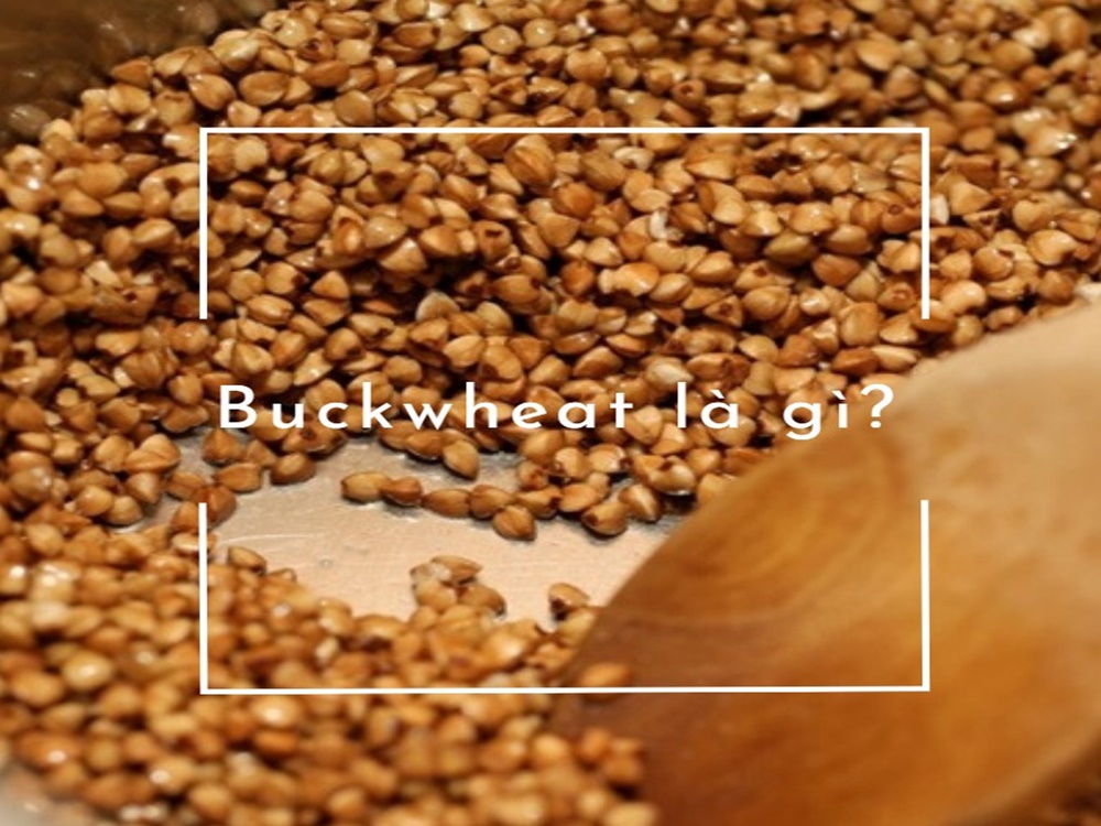 Buckwheat là gì? Công dụng hữu ích của Buckwheat đối với con người