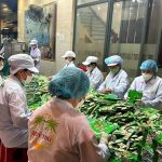 Việc Làm Thời Vụ Tết: ‘Mỏ Vàng’ Cho Người Lao Động & Bí Kíp Săn Job Xịn