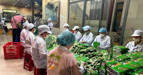 Việc Làm Thời Vụ Tết: ‘Mỏ Vàng’ Cho Người Lao Động & Bí Kíp Săn Job Xịn